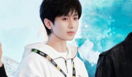 成毅明星爆料视频,揭秘明星幕后生活点滴